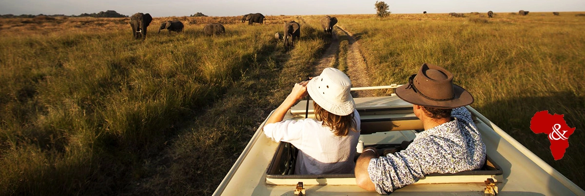 Amazing Game Drives Amazing Game Drives